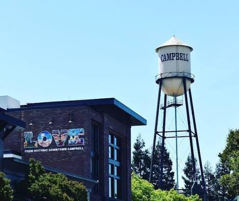 Budzilla - Campbell listing banner