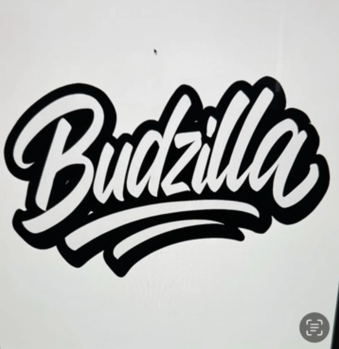 Budzilla - Clovis