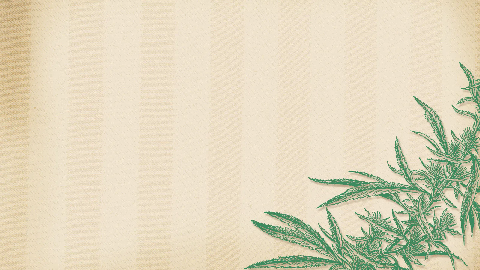 The Cannabashery listing banner
