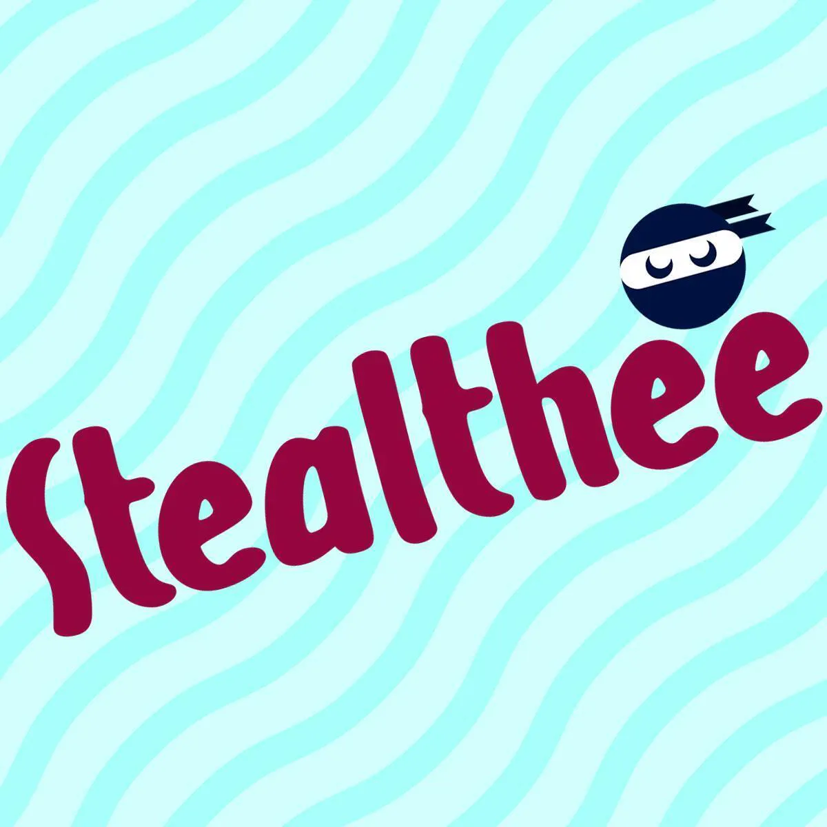 Stealthee Delivery
