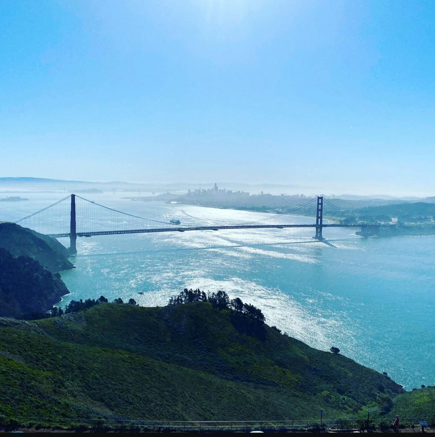 Budzilla - Marin County listing banner