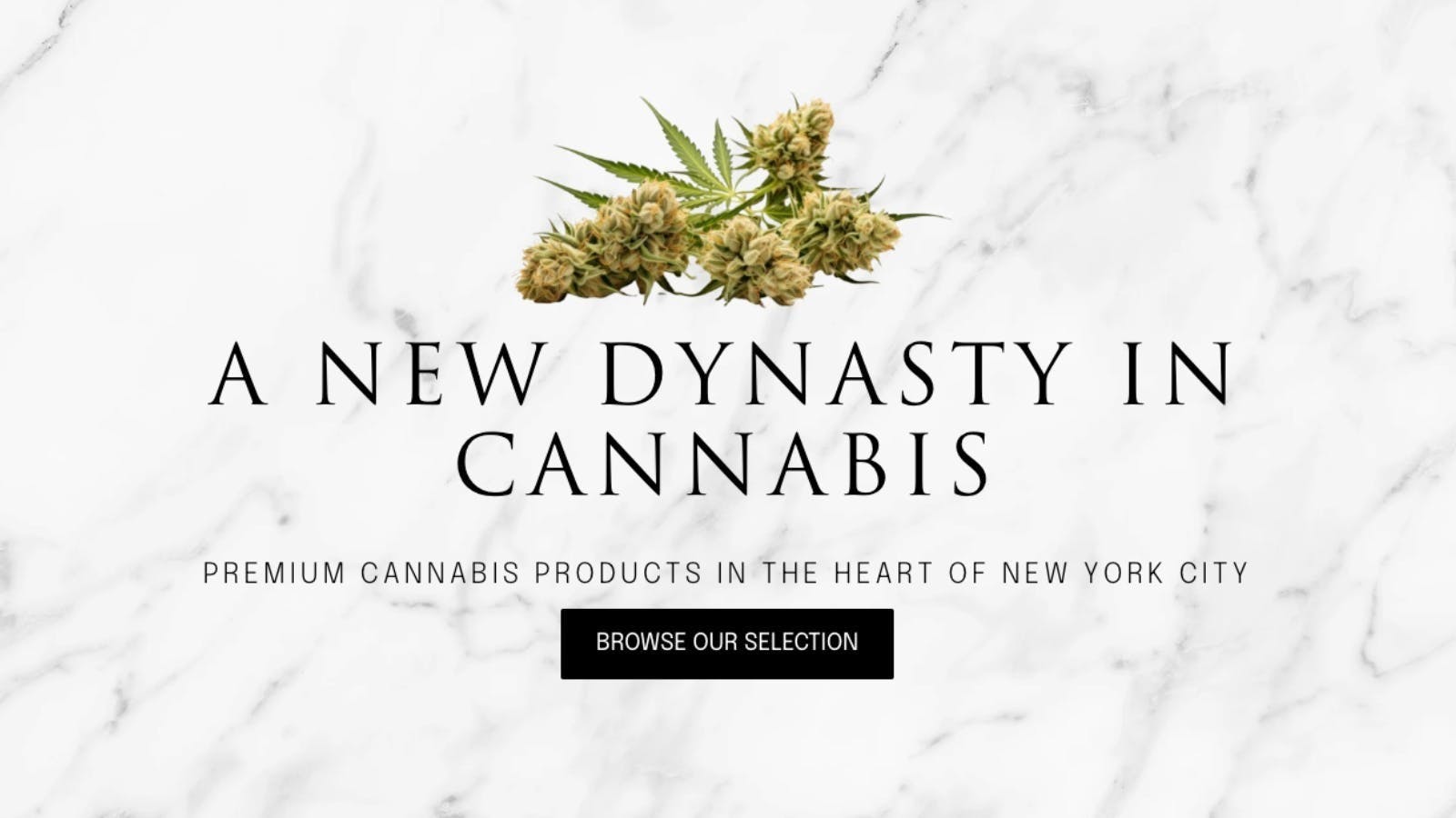 Dynasty Commodities Delivery - East Harlem / Spanish Harlem listing banner