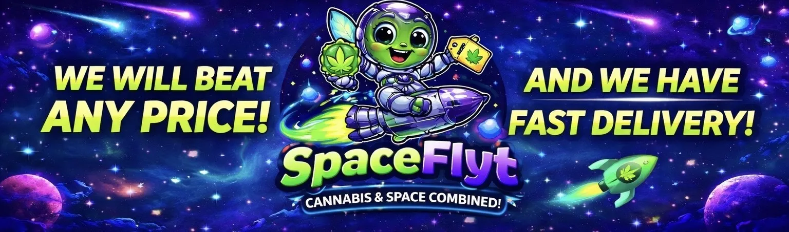 Space Flyt - Antelope Valley listing banner