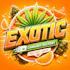 Exotic - South Long Beach