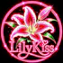 Lilykis Delivery