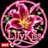 Lilykis Delivery