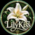 Lilykis Delivery