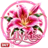 Lilykis Delivery