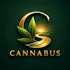 Cannabus - Hollywood
