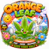 Orange Delivery - Campbell
