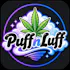 Puff N Luff - Chino