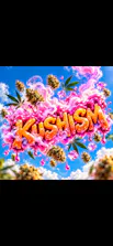 Kushism - Anaheim