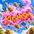Kushism Delivery - Santa Ana