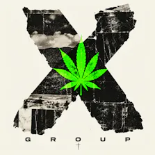 X Group - Hollywood