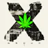 X Group - West Hollywood