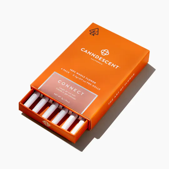 Canndescent - CONNECT | Minis | 0.5g each | 6pk - 1