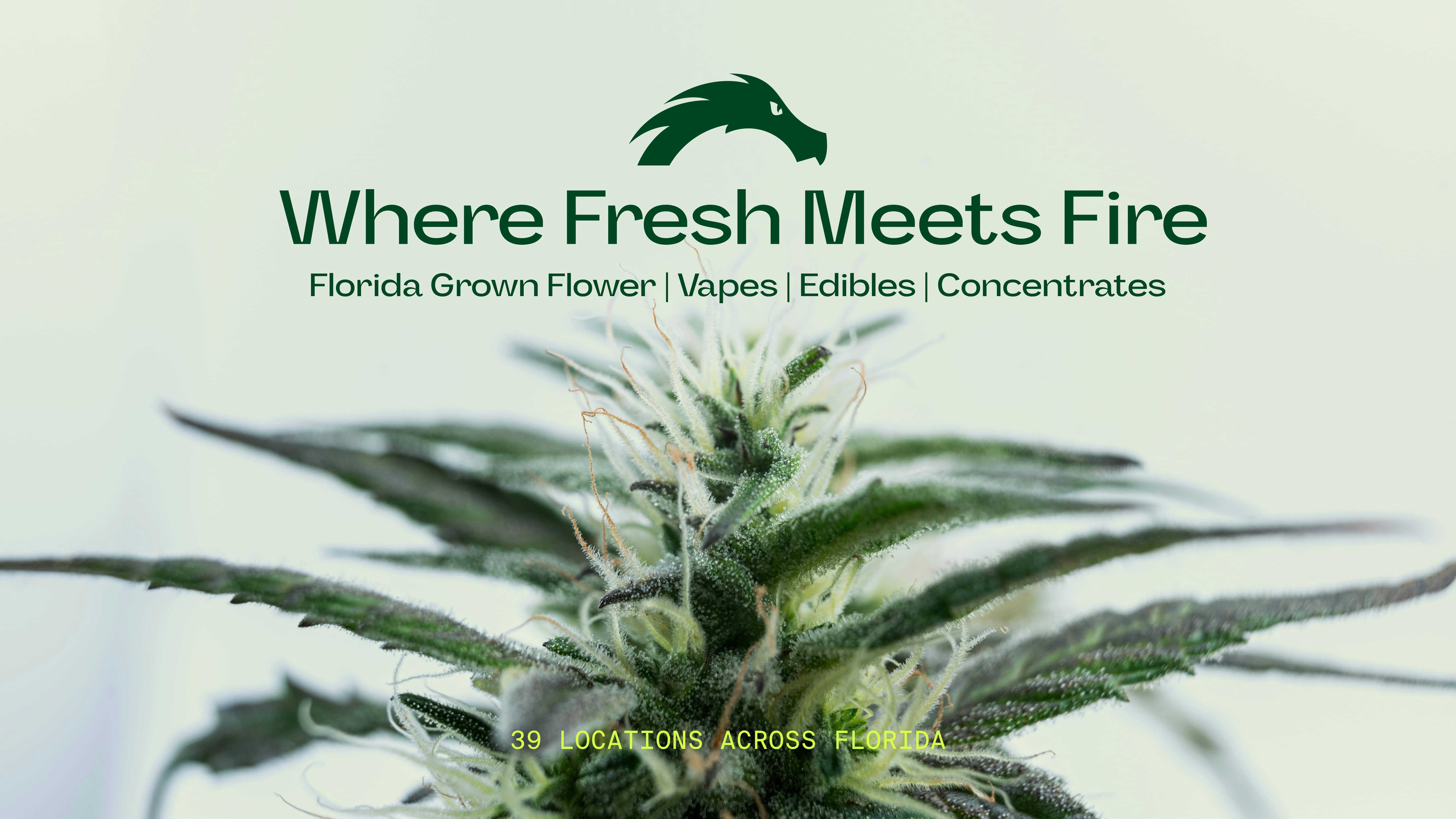 Green Dragon - Edgewater listing banner