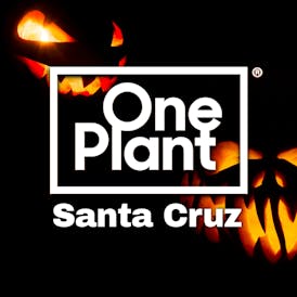 One Plant Santa Cruz