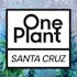 One Plant Santa Cruz
