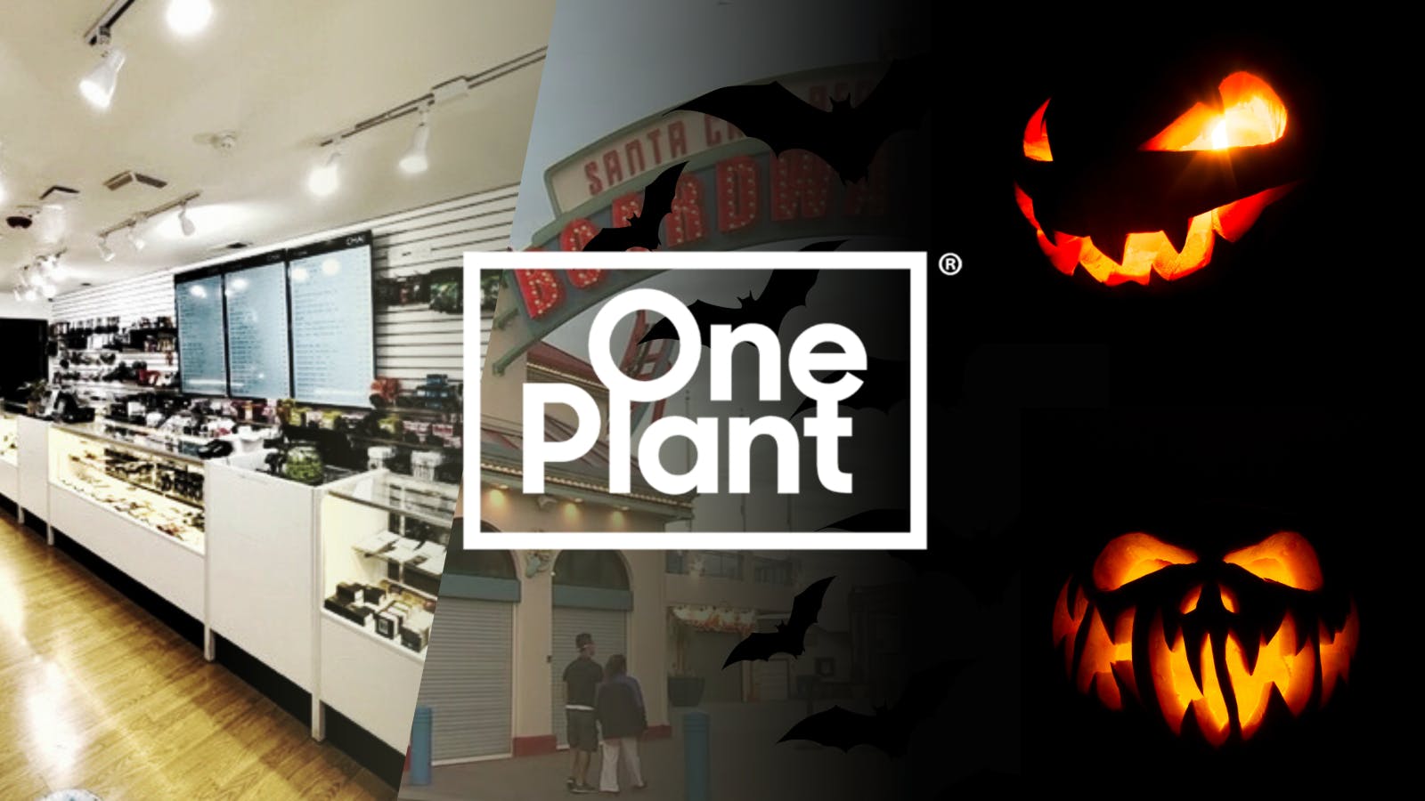 One Plant Santa Cruz listing banner