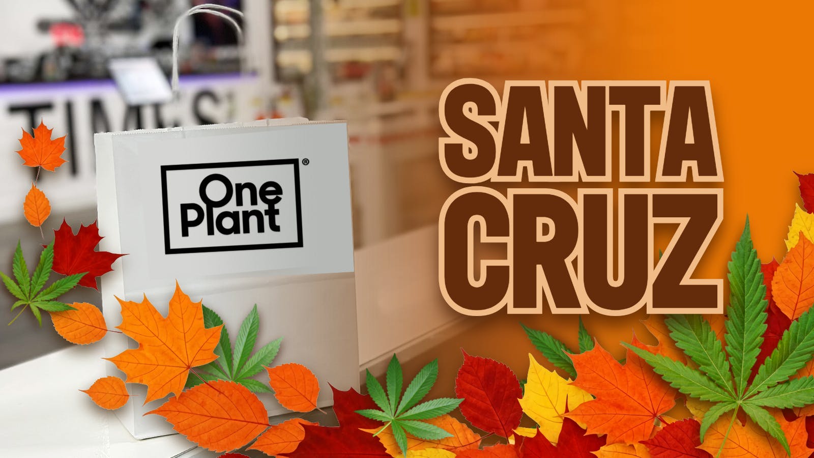 One Plant Santa Cruz listing banner