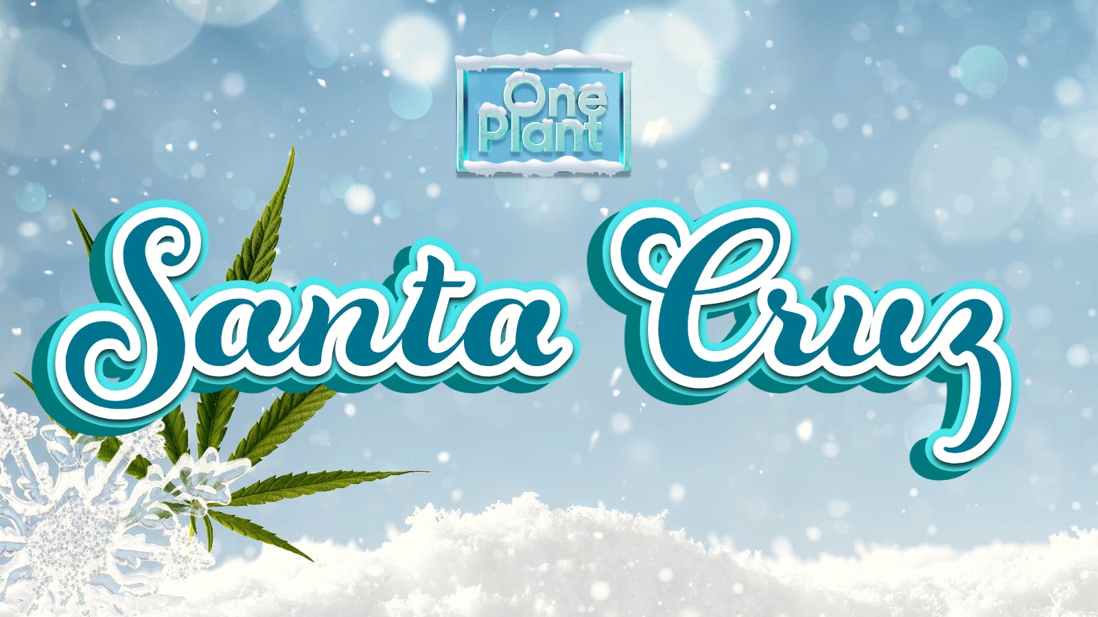 One Plant Santa Cruz listing banner