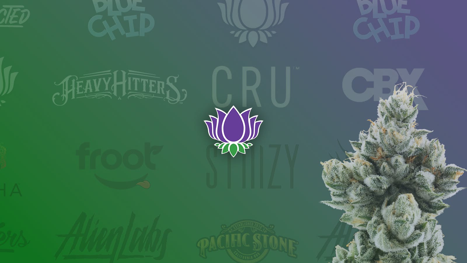 Purple Lotus Patient Center - San Jose listing banner