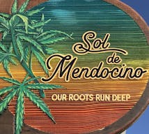 Sol De Mendocino / Love In It