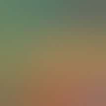 Sol De Mendocino / Love In It