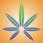 Santa Cruz Naturals - Aptos