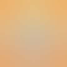 Santa Cruz Naturals - Aptos