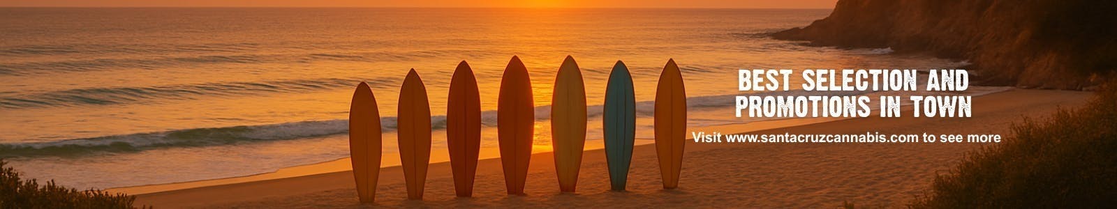 Santa Cruz Naturals - Aptos listing banner