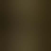 Sun Valley Caregivers