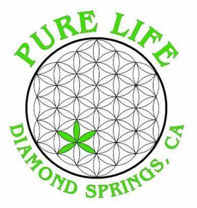 Pure Life Collective - Taxes Included In Prices!