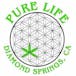 Pure Life Collective - Taxes Included In Prices!