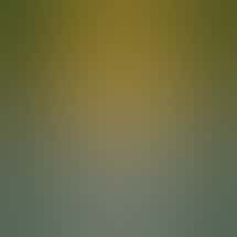 Abatin Wellness Center x 4 Twenty Market