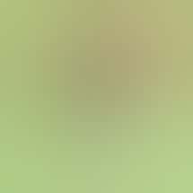 Compassionate Heart - Ukiah