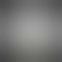 Green Gold's Little Trees