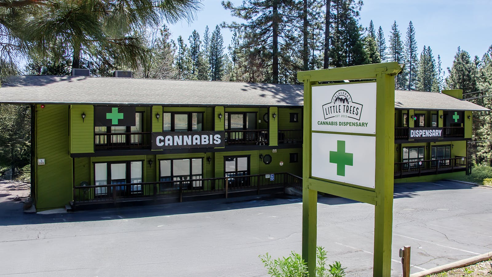Green Gold's Little Trees listing banner