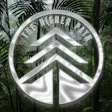 The Higher Path
