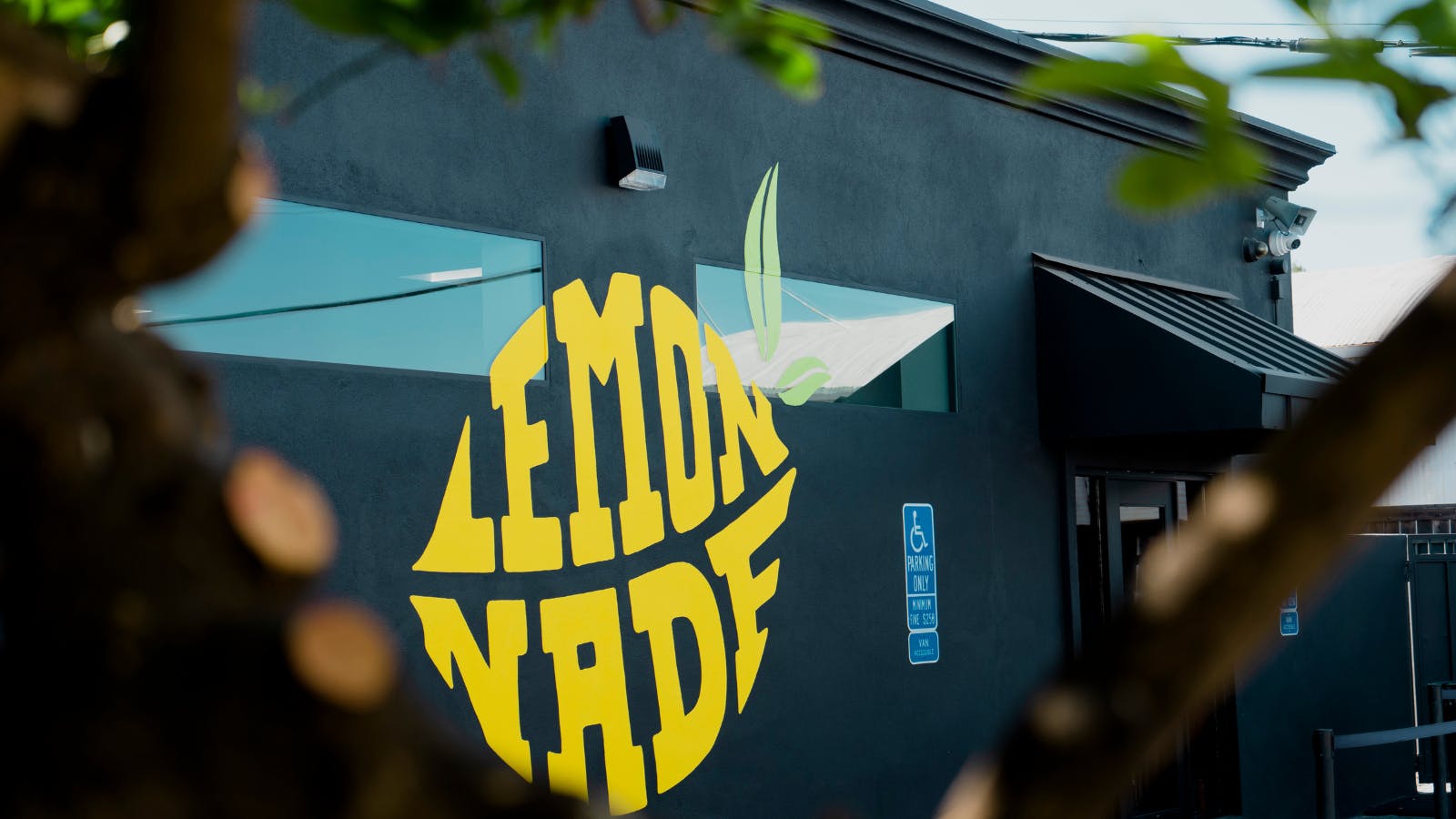 Lemonnade South Sacramento listing banner