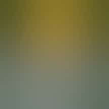 Phytologie Wellness x 4 Twenty Market