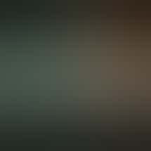 A Greener Today - Shoreline