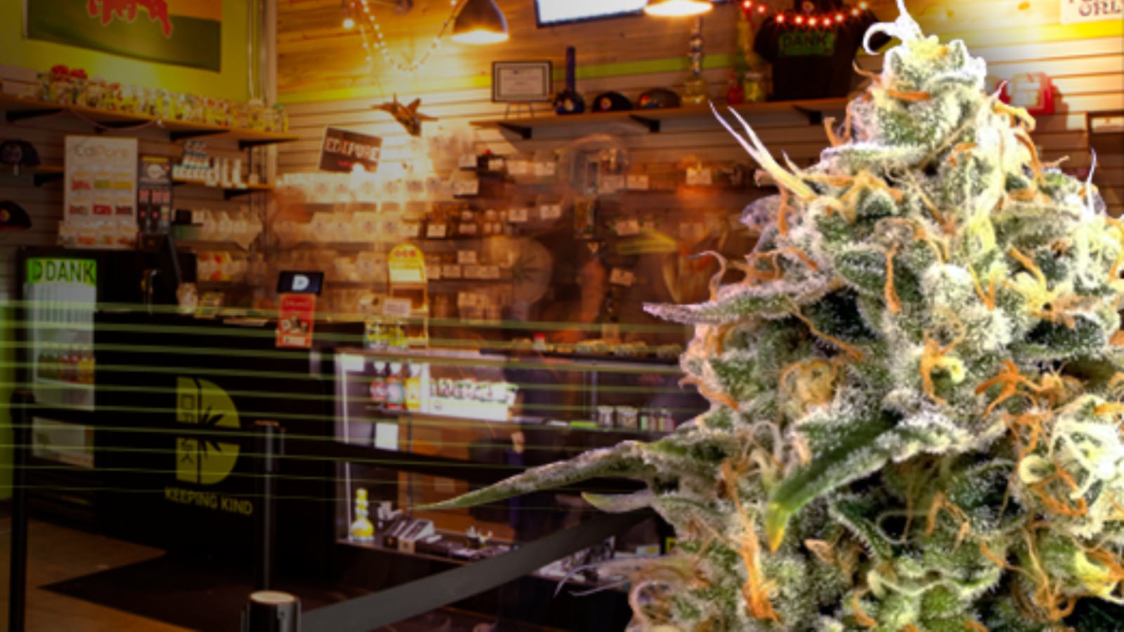 DANK Colorado - Adult Use listing banner