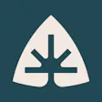 Kaleafa Cannabis Company - Woodstock