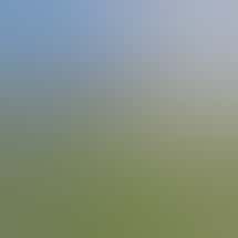 Home Grown Apothecary