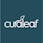 Curaleaf - Queen Creek (Formerly Reef)