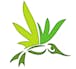 Altitude Organic Medicine - Academy Blvd