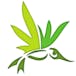 Altitude Organic Medicine - Academy Blvd