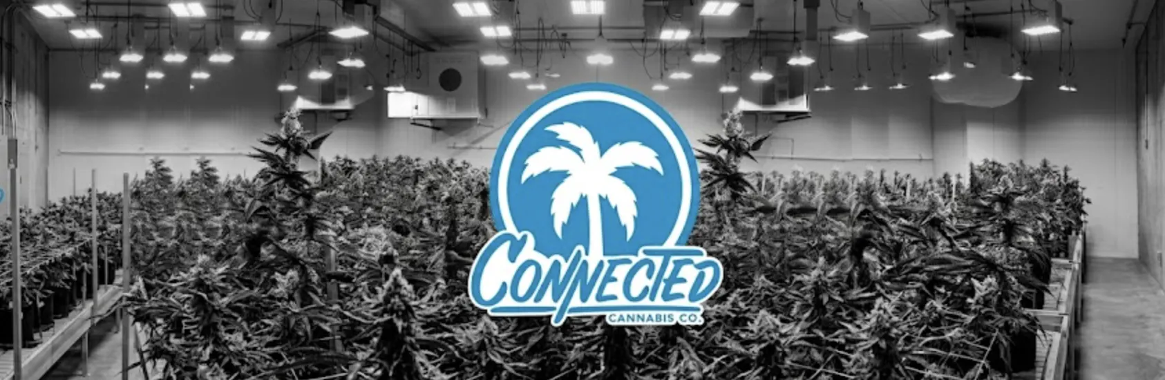 Connected Stockton listing banner